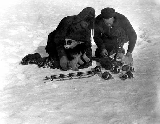WITH BYRD AT THE SOUTH POLE, Admiral Richard E. Byrd (right), 1930 Courtesy Everett Collection !ACHTUNG AUFNAHMEDATUM GESCHÃ„TZT! PUBLICATIONXNOTxINxCANxCHNxFRAxITAxJPNxNORxPOLxRUSxESPxUKxUSA Copyright: xCourtesyxEverettxCollectionx MBDWIBY EC003