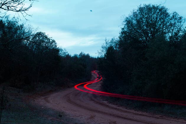 traffic lights in the middle of the forest Madrid, Community of Madrid, Spain CR_NELA200115A-273385-01