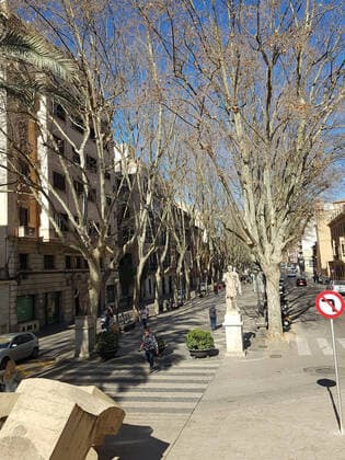 Palma theme photo holiday, Mallorca, 16 23 02 2020 Old houses in the city of Palma de Mallorca, theme photo holiday, Mallorca Copyright: xAugstx xEibner-Pressefotox EP_jat