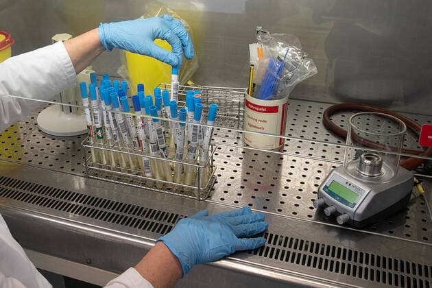 Symbol photo, coronavirus, laboratory, test, swab, virus,
