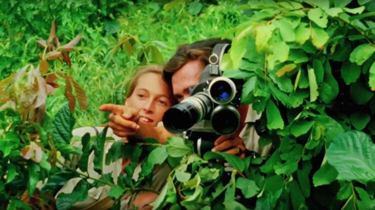 JANE, from left: Jane Goodall, Hugo van Lawick, 2017. Abramorama Courtesy Everett Collection !ACHTUNG AUFNAHMEDATUM GESCHÃ„TZT! PUBLICATIONXNOTxINxCANxCHNxFRAxITAxJPNxNORxPOLxRUSxESPxUKxUSA Copyright: xCourtesyxEverettxCollectionx MCDJANE EC012