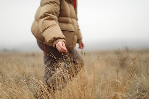 Unrecognizable female hands in autumn grass ,model released, Symbolfoto CR_INCH200219-312106-01