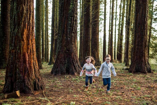 boy and girl running through trees in the park. Surrey, BC, Canada ,model released, Symbolfoto CR_JDIP200224B-310172-01