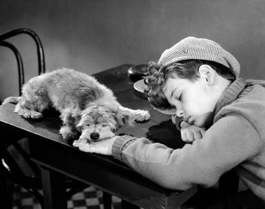THE MIGHTY MCGURK, Dean Stockwell, 1947 Courtesy Everett Collection !ACHTUNG AUFNAHMEDATUM GESCHÃ„TZT! PUBLICATIONXNOTxINxCANxCHNxFRAxITAxJPNxNORxPOLxRUSxESPxUKxUSA Copyright: xCourtesyxEverettxCollectionx MCDMIMC EC004