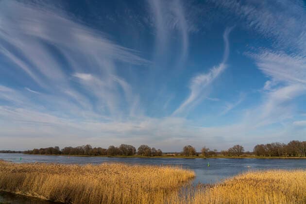 Die Oder bei Groß Neuendorf (Landkreis Märkisch-Oderland) im Oderbruch. Die Oder ist hier die Grenze zum Nachbarland Polen. Foto: Volker Hohlfeld An der Oder *** The Oder near Groß Neuendorf County Märkisch Oderland in the Oderbruch The Oder is here the border to the neighbouring country Poland Photo Volker Hohlfeld An der Oder