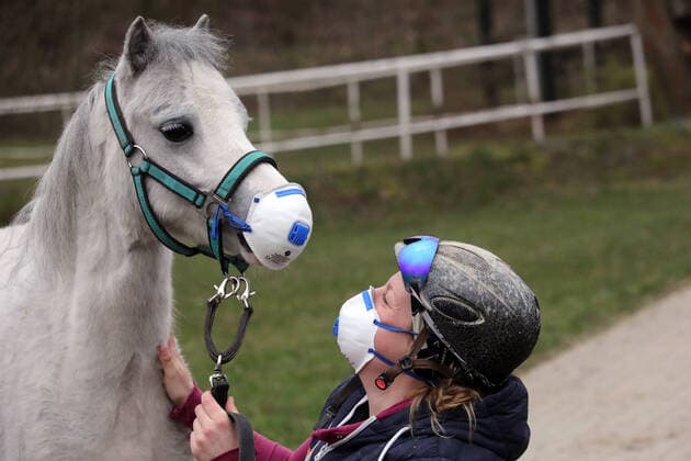 19 03 2020, Neuenhagen, Brandenburg, GER Rider and pony wear a respiratory mask MR yes, risk of infection, respiratory mask, respiratory mask, corona epidemic to protect against the corona virus, Coronapandemic, Coronavirus, Covid 19, health, mouthguard, horsewoman, protect, protection, precaution, pony, funny, comic, joke, humor, scurrilous, quirky, zoonosis 200319D153NEUENHAGEN JPG