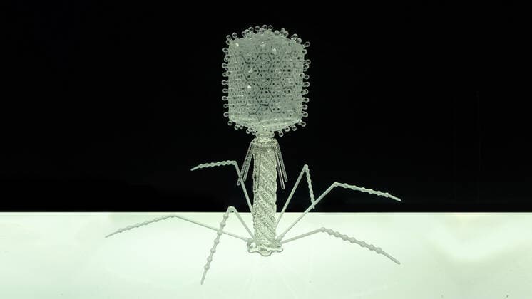 March 19, 2020, Bristol, United Kingdom: IN PHOTO: T Bacteriophage..Internationally-renowned British artist Luke Jerram has created a coronavirus glass sculpture in tribute to the huge global scientific and medical effort to combat the pandemic...Made in glass, at 23cm in diameter, it is 1 million times larger than the actual virus. ..It was commissioned 5 weeks ago by a university in America to reflect its current and future research and learning in health, the environment and intelligent systems, and its focus on solving global challenges. ..Luke says: Ã¢â‚¬oeHelping to communicate the form of the virus to the public, the artwork has been created as an alternative representation to the artificially coloured imagery received through the media. In fact, viruses have no colour as they are smaller than the wavelength of light.Ã¢â‚¬Â ..Ã¢â - ZUMAc218 20200319_zia_c218_021 Copyright: xCOVERxImagesx