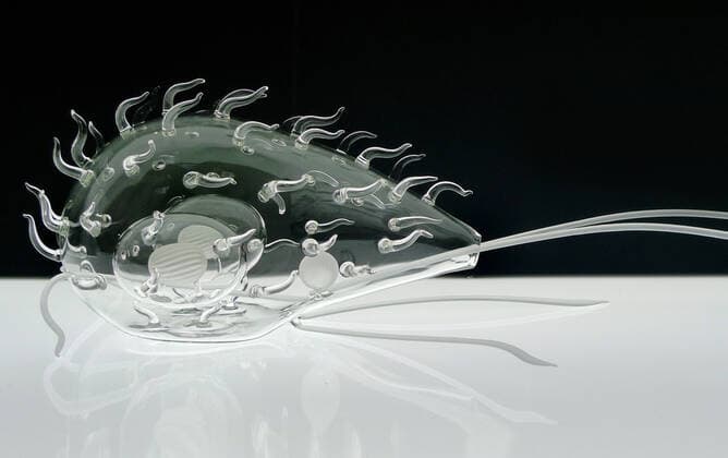 March 19, 2020, Bristol, United Kingdom: IN PHOTO: Giardia..Internationally-renowned British artist Luke Jerram has created a coronavirus glass sculpture in tribute to the huge global scientific and medical effort to combat the pandemic...Made in glass, at 23cm in diameter, it is 1 million times larger than the actual virus. ..It was commissioned 5 weeks ago by a university in America to reflect its current and future research and learning in health, the environment and intelligent systems, and its focus on solving global challenges. ..Luke says: Ã¢â‚¬oeHelping to communicate the form of the virus to the public, the artwork has been created as an alternative representation to the artificially coloured imagery received through the media. In fact, viruses have no colour as they are smaller than the wavelength of light.Ã¢â‚¬Â ..Ã¢â‚¬oeThis - ZUMAc218 20200319_zia_c218_026 Copyright: xCOVERxImagesx