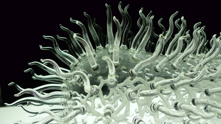 March 19, 2020, Bristol, United Kingdom: IN PHOTO: Ecoli..Internationally-renowned British artist Luke Jerram has created a coronavirus glass sculpture in tribute to the huge global scientific and medical effort to combat the pandemic...Made in glass, at 23cm in diameter, it is 1 million times larger than the actual virus. ..It was commissioned 5 weeks ago by a university in America to reflect its current and future research and learning in health, the environment and intelligent systems, and its focus on solving global challenges. ..Luke says: Ã¢â‚¬oeHelping to communicate the form of the virus to the public, the artwork has been created as an alternative representation to the artificially coloured imagery received through the media. In fact, viruses have no colour as they are smaller than the wavelength of light.Ã¢â‚¬Â ..Ã¢â‚¬oeThis a - ZUMAc218 20200319_zia_c218_028 Copyright: xCOVERxImagesx