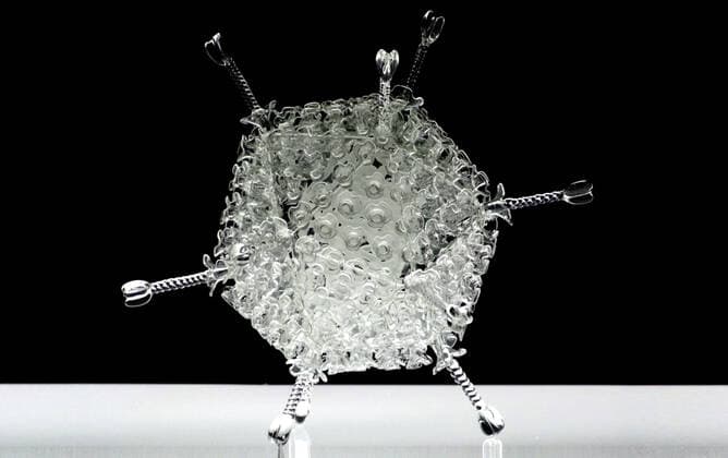 March 19, 2020, Bristol, United Kingdom: IN PHOTO: Adeno..Internationally-renowned British artist Luke Jerram has created a coronavirus glass sculpture in tribute to the huge global scientific and medical effort to combat the pandemic...Made in glass, at 23cm in diameter, it is 1 million times larger than the actual virus. ..It was commissioned 5 weeks ago by a university in America to reflect its current and future research and learning in health, the environment and intelligent systems, and its focus on solving global challenges. ..Luke says: Ã¢â‚¬oeHelping to communicate the form of the virus to the public, the artwork has been created as an alternative representation to the artificially coloured imagery received through the media. In fact, viruses have no colour as they are smaller than the wavelength of light.Ã¢â‚¬Â ..Ã¢â‚¬oeThis a - ZUMAc218 20200319_zia_c218_032 Copyright: xCOVERxImagesx