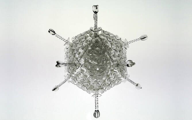 March 19, 2020, Bristol, United Kingdom: IN PHOTO: Adeno..Internationally-renowned British artist Luke Jerram has created a coronavirus glass sculpture in tribute to the huge global scientific and medical effort to combat the pandemic...Made in glass, at 23cm in diameter, it is 1 million times larger than the actual virus. ..It was commissioned 5 weeks ago by a university in America to reflect its current and future research and learning in health, the environment and intelligent systems, and its focus on solving global challenges. ..Luke says: Ã¢â‚¬oeHelping to communicate the form of the virus to the public, the artwork has been created as an alternative representation to the artificially coloured imagery received through the media. In fact, viruses have no colour as they are smaller than the wavelength of light.Ã¢â‚¬Â ..Ã¢â‚¬oeThis a - ZUMAc218 20200319_zia_c218_033 Copyright: xCOVERxImagesx