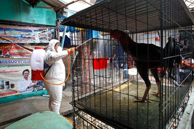 March 20, 2020, Bangkok, Thailand: Thai officials spray disinfectant at Pet market during a precaution against the coronavirus Covid-19 outbreak in Bangkok on March 20, 2020. Total number of deaths stemming from the growing pandemic at 10,030. The number of people infected worldwide is nearing 245,000 with most cases in China, followed by Italy and Iran, according to its data. Bangkok Thailand - ZUMAu103 20200320_zia_u103_002 Copyright: xUrdeexImagex