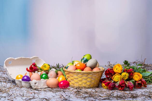 Today is the beginning of spring, impressions of this wonderful season Kiel Studio Schleswig Holstein Germany