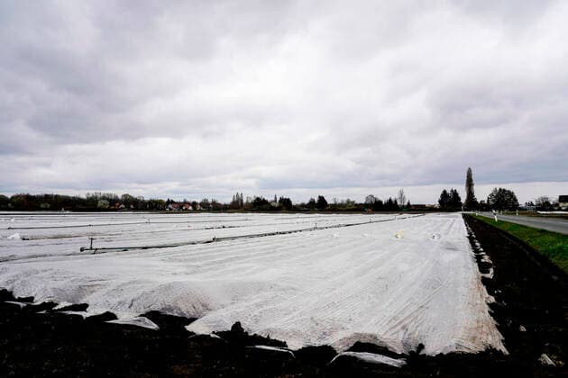 Corona Virus Pandemic, bfischu, HMB Media Schumacher, 21 03 20, Nuremberg, Germany Asparagus field Garlic country near Nuremberg Copyright: HMBxMedia Schumacher
