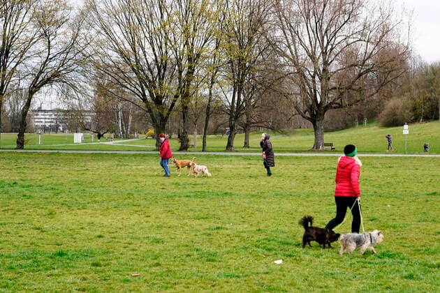 Corona Virus Pandemic, bfischu, HMB Media Schumacher, 21 03 20, Nuremberg, Germany Volkspark Marienberg, people walking gassi, dog Copyright: HMBxMedia Schumacher