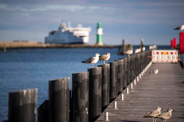 The Baltic seaside resort Warnemünde on Sunday without guests Despite good weather the beaches in Mecklenburg Vorpommern are mostly empty Holidaymakers in Mecklenburg Vorpommern had to leave the state because of the Corona Pandemic Rostock Waenemünde Copyright: FrankxHormannx xnordlicht