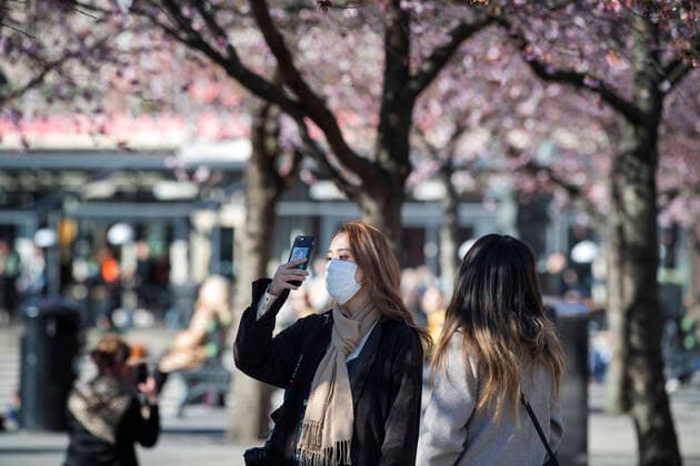 A woman wearing a protective mask takes a selfie among blooming cherry trees in Kungstradgarden park in Stockholm, Sweden, on March 22, 2020 Many people on Sunday enjoyed the sunny but chilly weather, amidst the new coronavirus COVID 19 pandemic STOCKHOLM SWEDEN LIF x10070x,  Copyright: xJessicaxGow TTx SWEDEN WEATHER