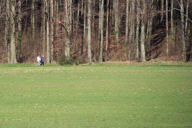 Lippinghausen, Germany 23 03 2020 Feature Nature Walkers take a walk along a forest area , Lippinghausen Germany
