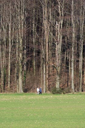 Lippinghausen, Germany 23 03 2020 Feature Nature Walkers take a walk along a forest area , Lippinghausen Germany