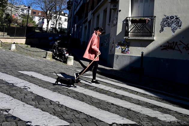 Paris en mode confinement une femme promene son chien dans les rue de Montmartre NEWS : COVID 19 a Paris - 23 03 2020 JBAutissier Panoramic 