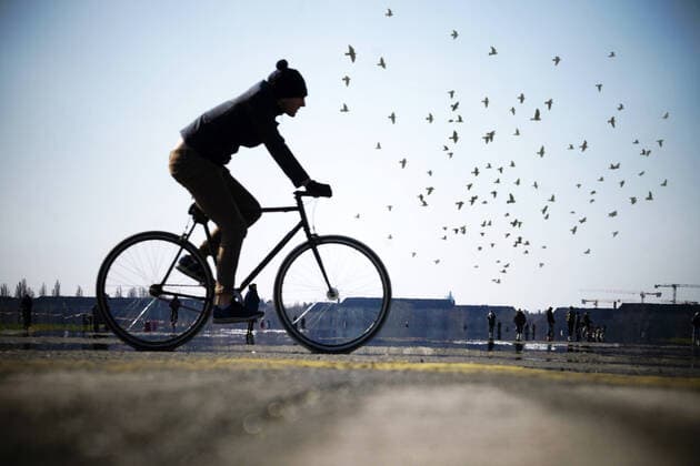 23 03 2020,Berlin,Germany,GER,Tempelhofer Feld, one cyclist, numerous birds, attention COMPOSEE