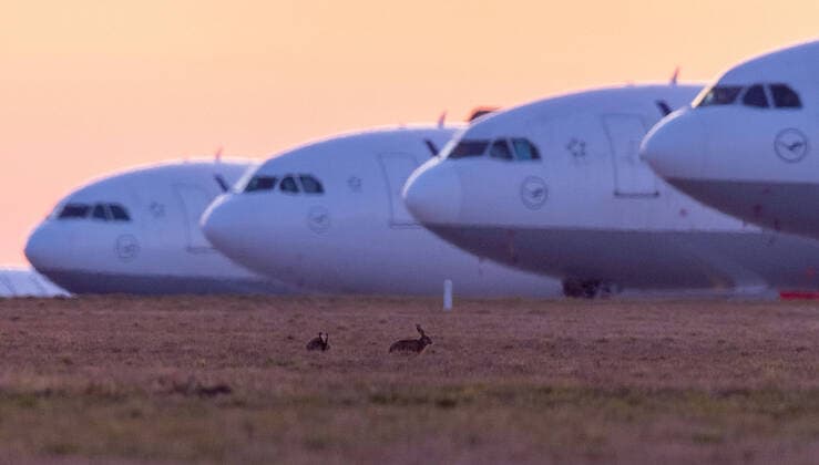 xfux, News Wirtschaft, Lufthansa parks its aircraft on the Nordwestbahn at Frankfurt Airport FRAPORT parked aircraft LH Airline lock down decommissioned aircraft deloka, 2 two hares in front of the parked aircraft Frankfurt am Main