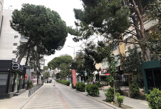 View of Istanbul™s shopping street Bagdat¦ As 20 million city Istanbul is getting empty, the number of infected people increased to 1525 people and 37 deaths. Copyright: TolgaxAdanali 16704547