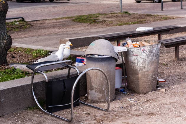 Waste avoidance in public is a goal that must not be lost sight of Kiel Schreventeich Schleswig Holstein Germany