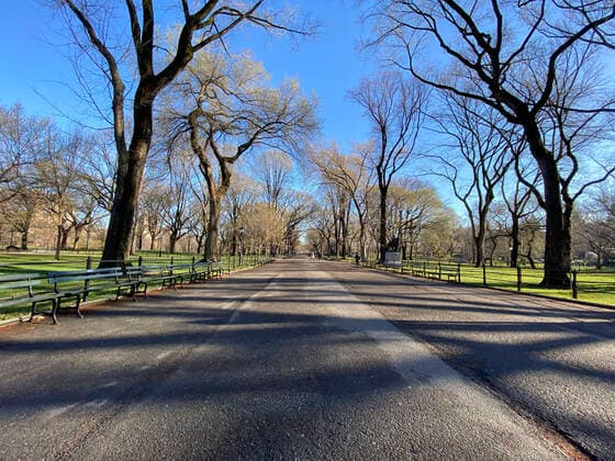 March 24, 2020, New York City, New York, USA: The Central park mall is empty. As rules due to coronavirus outbreak become more stringent down there are fewer visitors to the park. New York City USA - ZUMAw138 20200324_new_w138_968 Copyright: xAlisonxWrightx