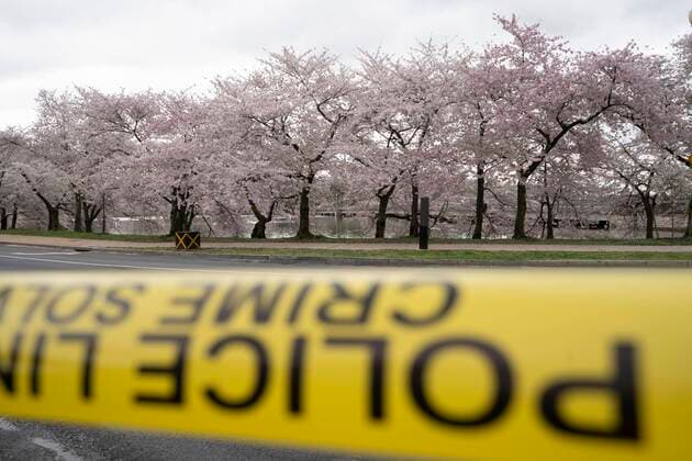 News Bilder des Tages March 24, 2020, Washinton, District of Columbia, USA: Yellow police tape blocks access to the Tidal Basin cherry blossom trees on Tuesday, March 24, 2020, in Washington, District of Columbia. Washinton USA - ZUMAg214 20200324_znp_g214_010 Copyright: xSaitxSerkanxGurbuzx