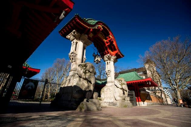 Closed zoo in Berlin on 24 March 2020 To slow down the spread of the coronavirus COVID 19, the federal and state governments decided to impose further restrictions After museums, theatres, sports events etc. were banned from yesterday, meetings with more than two people in public are forbidden in pri