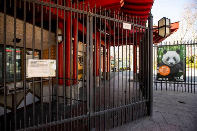 Closed zoo in Berlin on 24 March 2020 To slow down the spread of the coronavirus COVID 19, the federal and state governments decided to impose further restrictions After museums, theatres, sports events etc. were banned from yesterday, meetings with more than two people in public are forbidden in pri