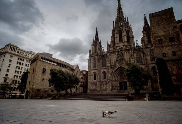 March 24, 2020, Barcelona, Catalonia, Spain: A seagull eats a pigeon at the empty square of Barcelona s Cathedral. SpainÃ¢â‚¬â ¢s coronavirus victims rise by 514 in a day, with 2,700 dead and nearly 40,000 infections Barcelona Spain - ZUMAb137 20200324_zap_b137_019 Copyright: xJordixBoixareux