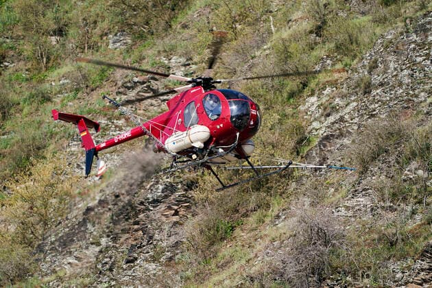 Spraying helicopter in action 25 03 2020, Rhineland-Palatinate, Kobern Gondorf A spraying helicopter flies over the vines near the Moselle town of Kobern Gondorf Mayen Koblenz district The vines are sprayed with fungicides from the air