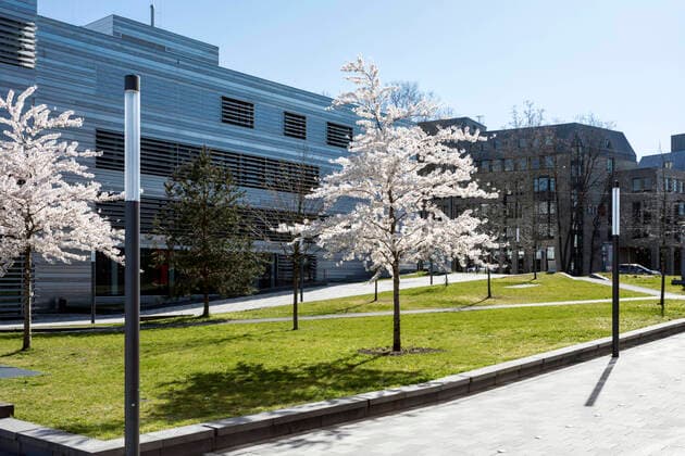 General protective measures for the fight against the Coronavirus Pandemic, the University of Applied Sciences Düsseldorf HSD has therefore closed, the campus empty and abandoned, only the tree blossom tunes in to the approaching spring