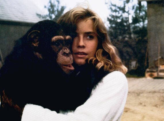 LINK, Elisabeth Shue, 1986, Cannon Films courtesy Everett Collection Cannon Films Courtesy Everett Collection !ACHTUNG AUFNAHMEDATUM GESCHÃ„TZT! PUBLICATIONXNOTxINxCANxCHNxFRAxITAxJPNxNORxPOLxRUSxESPxUKxUSA Copyright: xCannonxFilms CourtesyxEverettxCollectionx M8DLINK EC002
