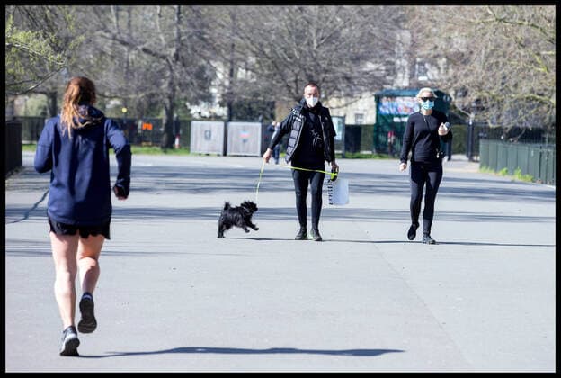 . 25 03 2020. London, United Kingdom. Ongoing Coronavirus Crisis. A couple wearing face marks exercise their dog in Hyde Park during the Coronavirus crisis.  xMartynxWheatleyx xi-Imagesx IIM-20954-0015