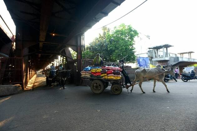 NEW DELHI, INDIA - MARCH 27: A bullock cart carrying raw materials, on day 3 of the three week nationwide lockdown to check the spread of Coronavirus COVID-19 , at Iron Bridge on March 27, 2020 in New Delhi, India. (Photo by Sonu Mehta Hindustan Times) India Goes Into 21 Day Lockdown Due To Coronavirus COVID-19