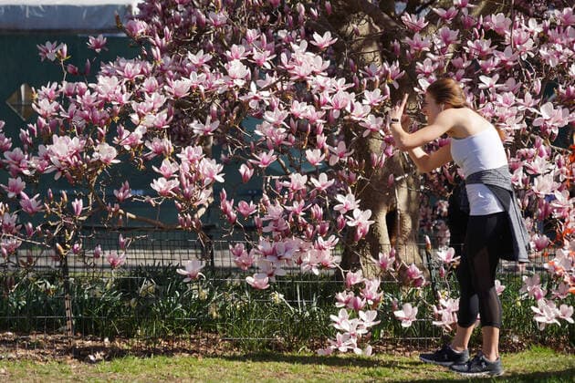 News Bilder des Tages March 27, 2020, New York, New York, USA: New Yorkers in the park during Covid19, .Central Park, NY.March 27, 2020.Photos by , Photos Inc. New York USA - ZUMAms4_ 20200327_zaf_ms4_041 Copyright: xSoniaxMoskowitzx