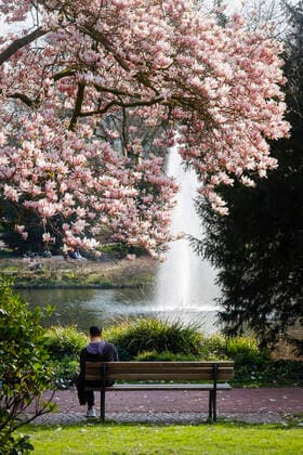 27 03 2020, Essen, Ruhr area, North Rhine-Westphalia, Germany Leisure time in the city park during the Corona crisis, a young man sitting at the lake with a fountain Essen North Rhine-Westphalia Germany