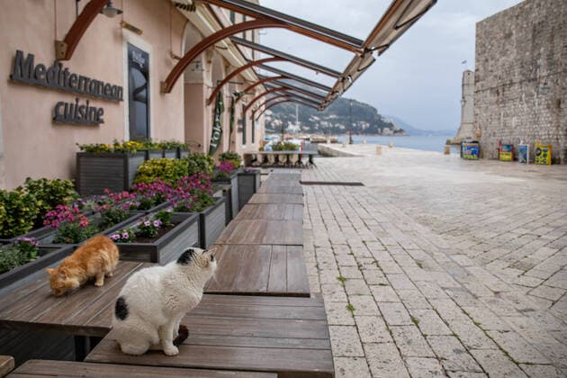 Empty town Dubrovnik, Croatia 28.03.2020., Dubrovnik, Croatia - During coronavirus usualy crowded Dubrovnik is completely empty. GrgoxJelavic PIXSELL