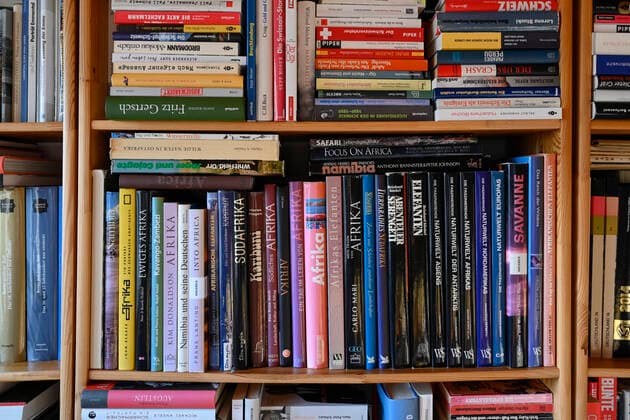 Bücherregal mit gestapelten Reisebücher Afrika, Schweiz, 27.03.2020 *** Bookcase with stacked travel books Africa, Switzerland, 27 03 2020 