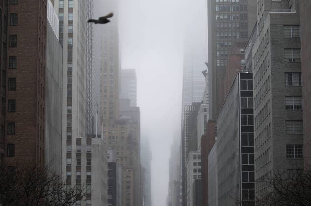A bird flies across 42nd Street where pedestrian and automobile traffic remain almost non-existent in New York City on Sunday, March 29, 2020. On Saturday the Centers for Disease Control and Protection issued a 14-day travel advisory for New York, New Jersey and Connecticut. The number of confirmed COVID-19 cases in the tri-state area has surpassed 65,000 and at least 901 people are confirmed dead.  NYP20200329110 JOHNxANGELILLO