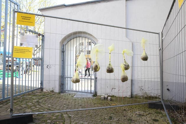Gift fence in the cultural center fire station in Magdeburg Saxony-Anhalt, citizens can donate bags with food in times of the Corona crisis, which can then be taken away by citizens who do not have so much available