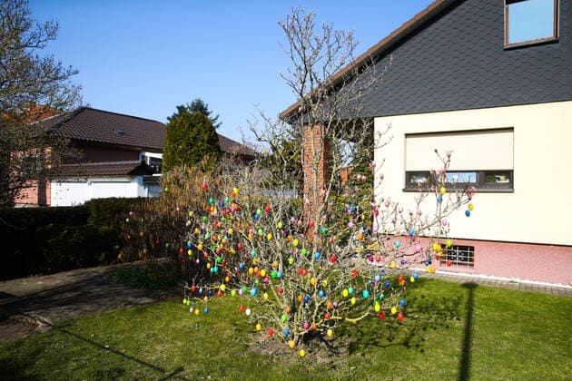 In Magdeburg Ottersleben, despite the corona crisis, residents have planted a shrub with plastic Easter eggs in front of their house