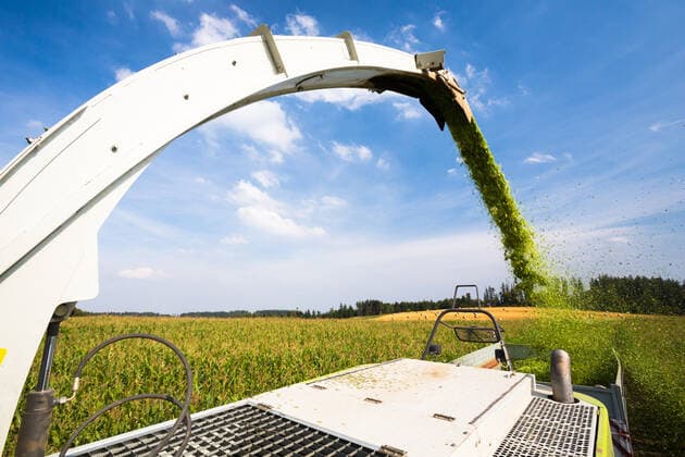 IMAGO Nature: Unsere Erde, Energiequellen, Biomasse Modern combine harvester unloading green corn into the trucks Modern combine harvester unloading green corn into the trucks  Copyright: xViktorxCapx 13535542
