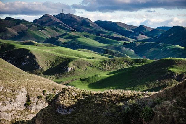 Beautiful landscape of green mountains and sheep in Hawke s Bay, New Zealand Havelock North, Hawke s Bay, New Zealand CR_JUCR200306-320092-01