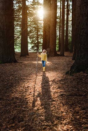 Tween girl walking through beautiful forest in New Zealand Havelock North, Hawke s Bay, New Zealand ,model released, Symbolfoto CR_JUCR200306-320095-01