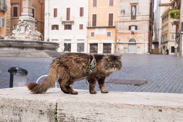 Rome: Pantheon during lockdown for Covid-19 The Pantheon and Piazza della Rotonda in Rome on Monday 30 March 2020, without tourists and with few people during the quarantine and the lockdown decided by the Italian government during the Covid-19 pandemic Roma RM Italy Piazza della Rotonda Copyright: MatteoxNardone
