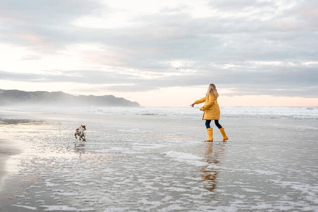 Preteen girl playing with dog at beach in New Zealand Ocean Beach, Hawke s Bay, New Zealand ,model released, Symbolfoto CR_JUCR200313-323919-01